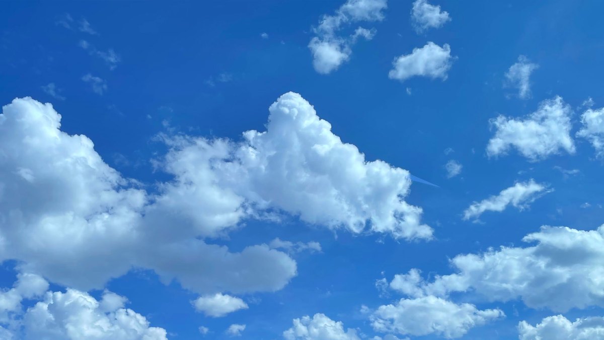 Neklauskite, kam „Bluesky“ rinkliavos